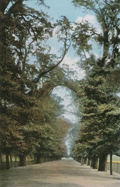 ブロードウォーク 作： English Photographer