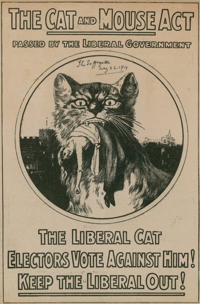 猫とマウスの行為 作： English Photographer