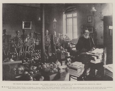 ベルリン病理研究所の彼の研究室で有名な科学者、ヴィルコフ教授の死 作： English Photographer