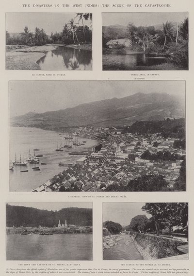 西インド諸島の災害、大災害の現場 作： English Photographer