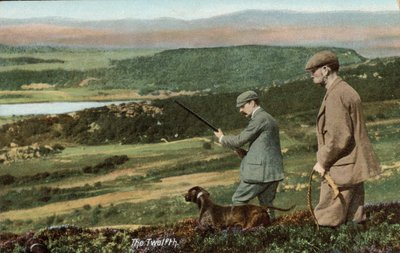 8月12日、英国のレッドライチョウの狩猟シーズン開始（カラー写真）。 作： English Photographer