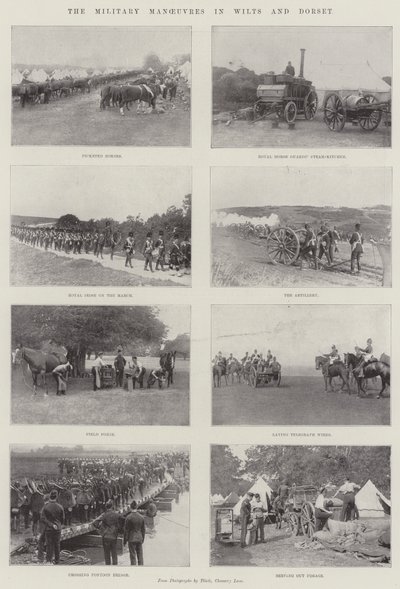 ウィルトとドーセットの軍事作戦 作： English Photographer