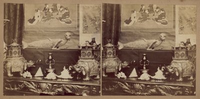 日本のモンキーフィッシュ 作： English Photographer