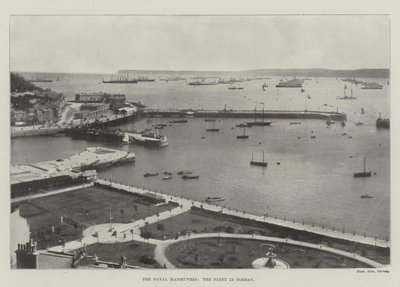 海軍の操縦、トーベイの艦隊 作： English Photographer