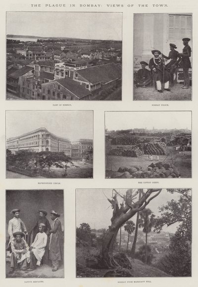 ボンベイのペスト、町の景色 作： English Photographer