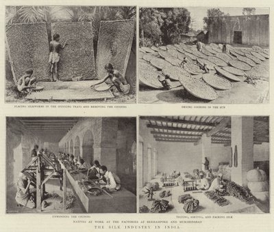 インドの絹産業 作： English Photographer