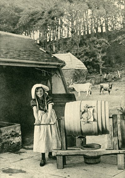 イギリスの農村の魅力（モノクロ写真 作： English Photographer
