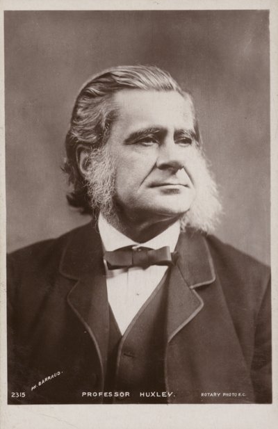 トーマスヘンリーハクスリー（1825-1895、イギリスの生物学者） 作： English Photographer