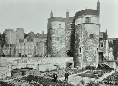ロンドン塔、タワーヒル：ビューシャンとバイワードタワー、1895 作： English Photographer