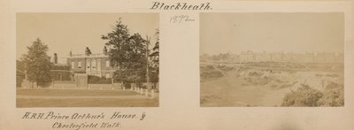 ブラックヒースの2つの画像 作： English Photographer