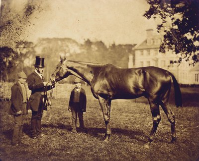 1856年にダービーで優勝したワイルドデイレル 作： English Photographer