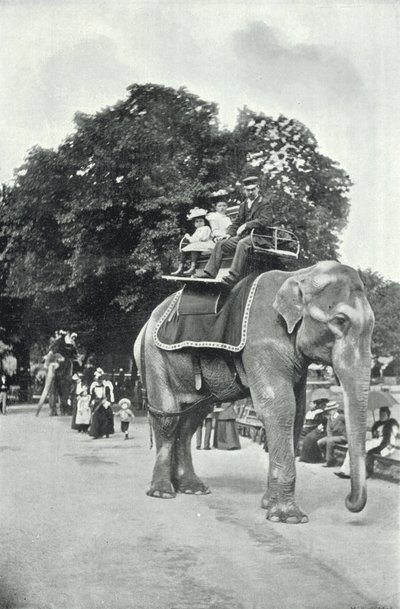 動物園、ゾウに乗る子供たち（モノクロ写真 作： English Photographer