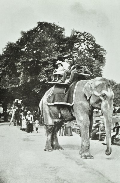動物園、リージェンツパーク：象の乗り物、ロンドン、1895年頃 作： English Photographer