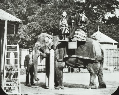 動物園、リージェンツパーク：大人と子供が乗る象、ロンドン動物園、1894 作： English Photographer
