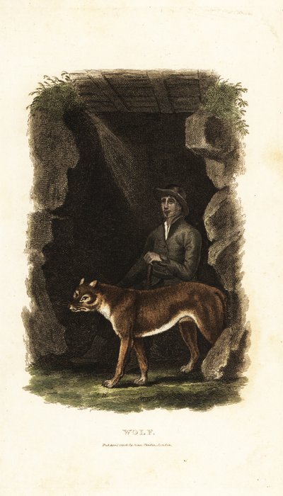 18世紀の英国紳士と飼いならされたオオカミ（Canis lupus）、洞窟の入り口で 作： English School