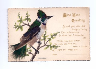 手描きの木に羽を乗せたカワセミの新年グリーティングカード、1900年頃 作： English School