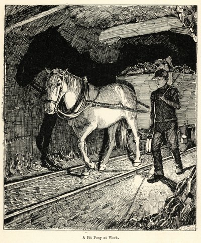 A Pit Pony at Work (e.g. engraving) 作： English School