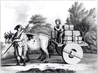 ジェームズマーフィー著、ポルトガル国の概観によるポルトガルの農場、1797年発行 作： English School
