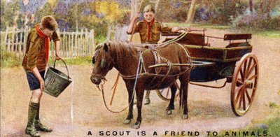 スカウトは動物の友、1929 作： English School