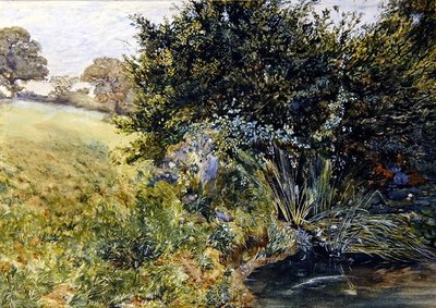 A Shady Stream 作： English School