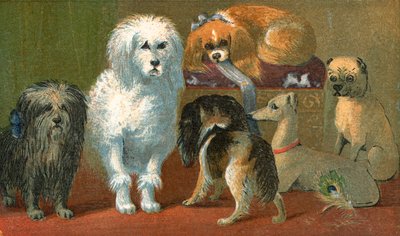 スカイテリア、フレンチプードル、2つのスパニエル、イタリアングレイハウンド、パグ犬 作： English School