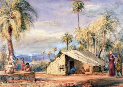 インド、ボンベイ大統領府、ナツメヤシの木立のトディ引き出し小屋（紙にトイレ） 作： English School