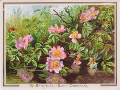 1880年頃の小川で犬のバラの茂みを描いたビクトリア朝のクリスマスカード 作： English School