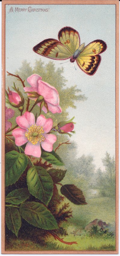 蝶と犬のバラの茂みを描いたビクトリア朝のクリスマスカード、1880年頃 作： English School
