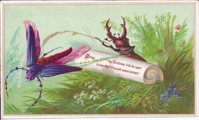 昆虫、クワガタ、スクロールのビクトリア朝のクリスマスカード。1880年頃のクリスマスメッセージです。 作： English School
