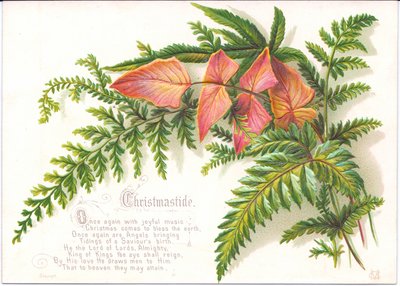 シダのスプレーが付いているビクトリア朝のクリスマスカード、c.1880 作： English School