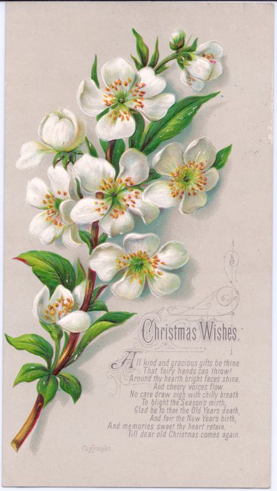 1880年頃、クリスマスバラと詩のスプレーが入ったビクトリア朝のクリスマスカード 作： English School