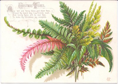 シダのスプレーが付いているビクトリア朝のクリスマスカード、c.1880 作： English School
