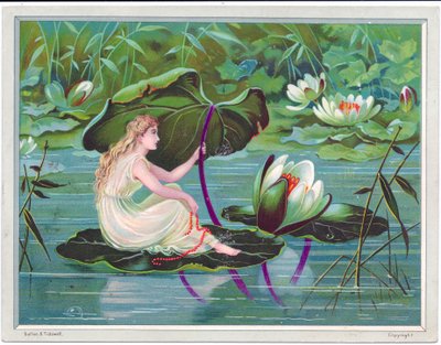 1880年頃のキャノピーとしてのユリの葉と蓮のユリの葉のストリームでセーリングする妖精のビクトリア朝のグリーティングカード 作： English School