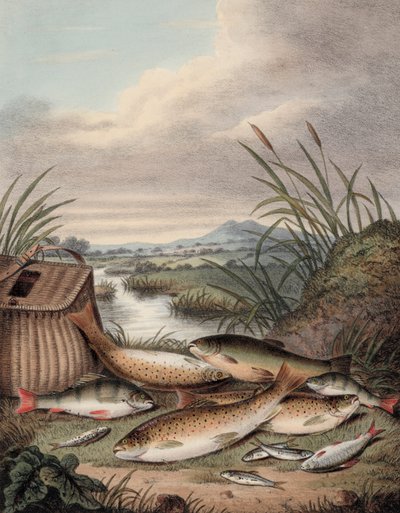 A good days fishing (Colored engraving) 作： English School