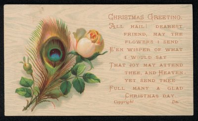 孔雀の羽とバラの花、クリスマスのグリーティングカード。(クロモリト) 作： English School