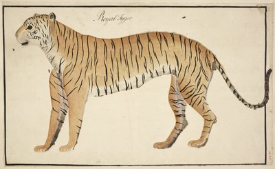 Tanjore の Serfagee のコレクションからのロイヤル タイガー 作： English School