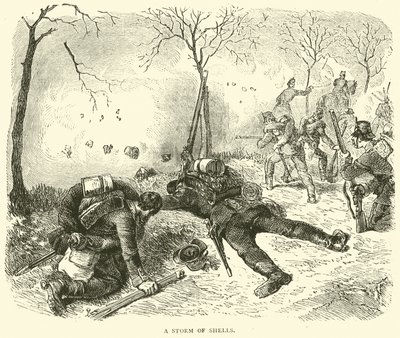 貝殻の嵐、1871年1月 作： English School