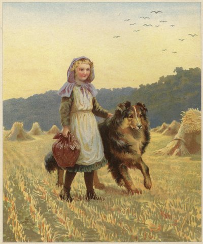 彼女のコリー犬に彼女の手でフィールドに立っている若い女の子 作： English School