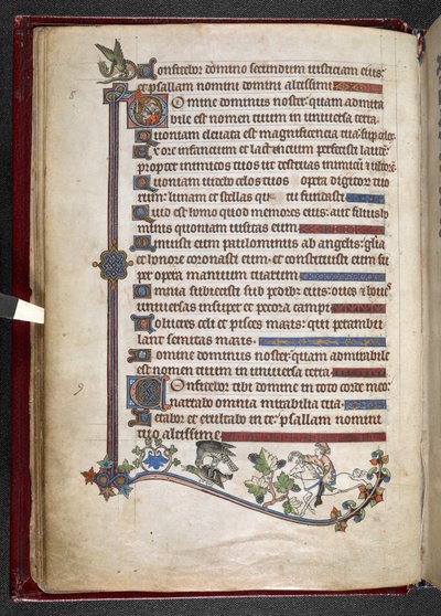 MS 24686、f.14v、ハヤブサ狩りのアヒルとポニーに乗った少年、c.1284-1316 (ベラム) を追加 作： English School