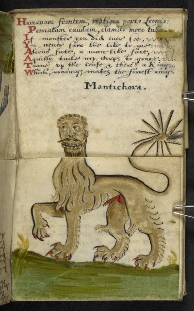 MS 57312 f.11 ゲームブックを追加 (ベラム紙にインクとカラー) 作： English School