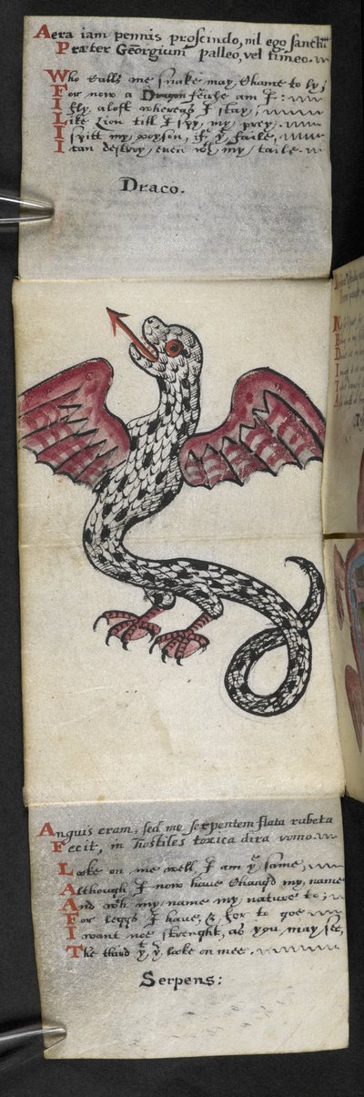 MS 57312 f.3 ゲームブックを追加 (ベラム紙にインクとカラー) 作： English School