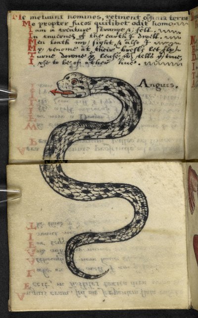 MS 57312 f.4 ゲームブックを追加 (ベラム紙にインクとカラー) 作： English School