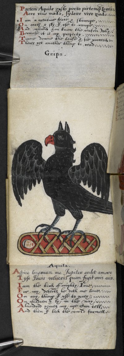 MS 57312 f.8 ゲームブックを追加 (ベラムにインクとカラー) 作： English School