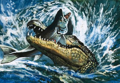 ワニが魚を食べる 作： English School