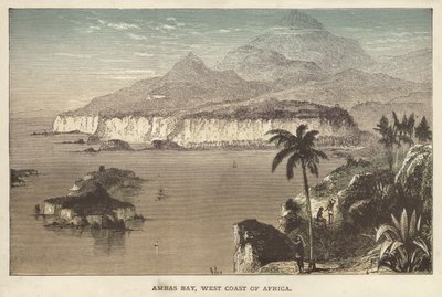 アフリカ西海岸のアンバス湾（彩色済み彫刻 作： English School