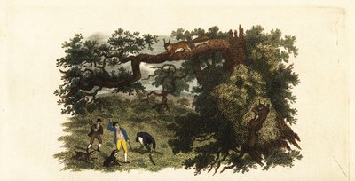 木の上の灰色リスに棒を投げるアメリカ人入植者たち 作： English School