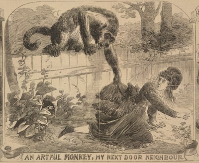 「Artful Monkey, My Next Door Neighbour」、「Illustrated Police News」のイラスト、1872 年 8 月 24 日 (litho) 作： English School