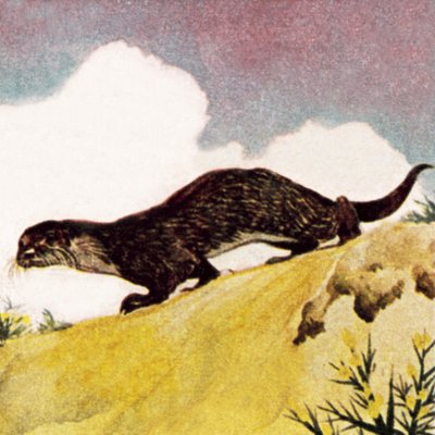 カワウソ 作： English School