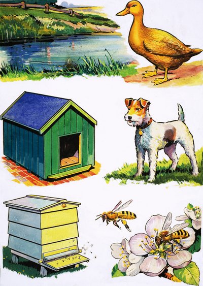 動物とその家 作： English School
