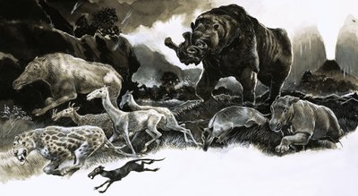 漸新世の動物 作： English School